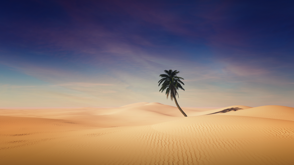 palm-tree-desert-sand-dunes-clear-sky-shadow-sunny-day-3840x2160-6432