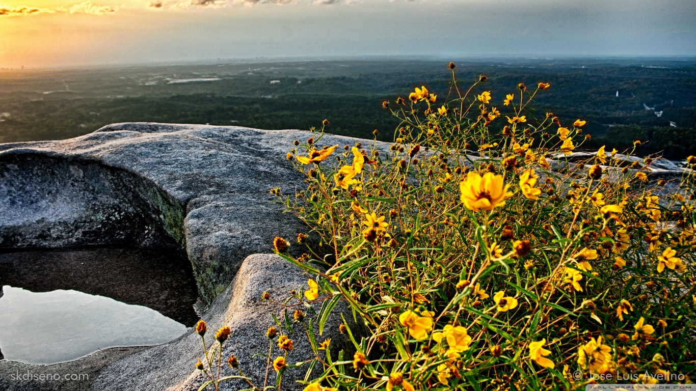 stone_mountain