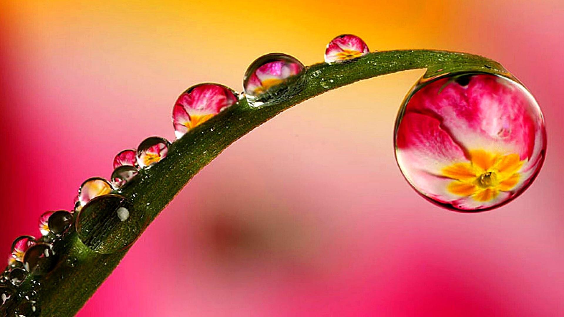 water drop 2