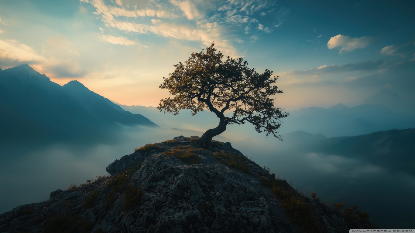 tree_on_the_top_of_the_mountain